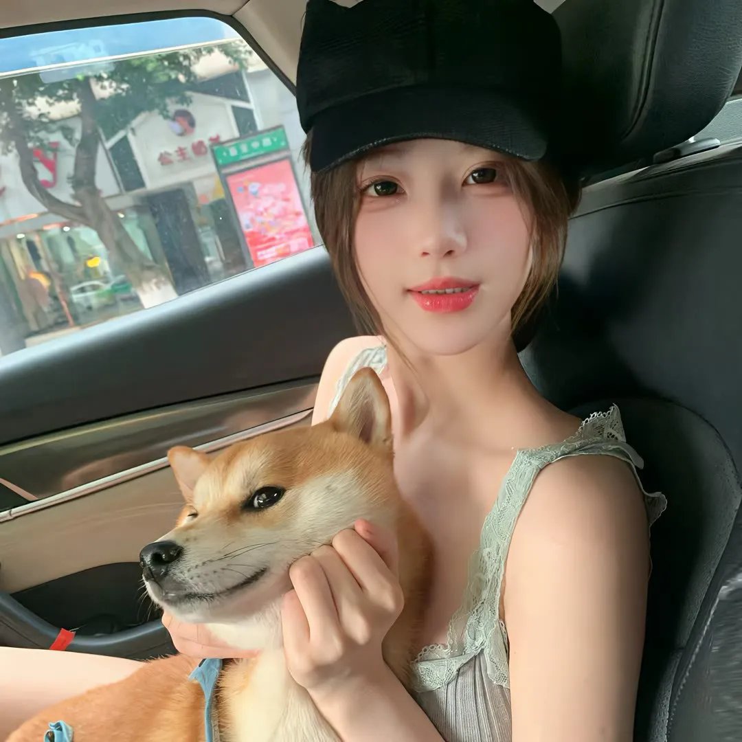 避风港湾